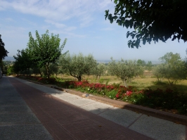 Strada mattonata di Assisi